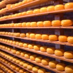 cheese salt