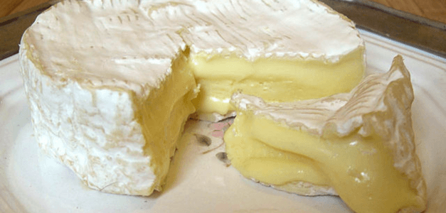 Camembert Cheese Recipe